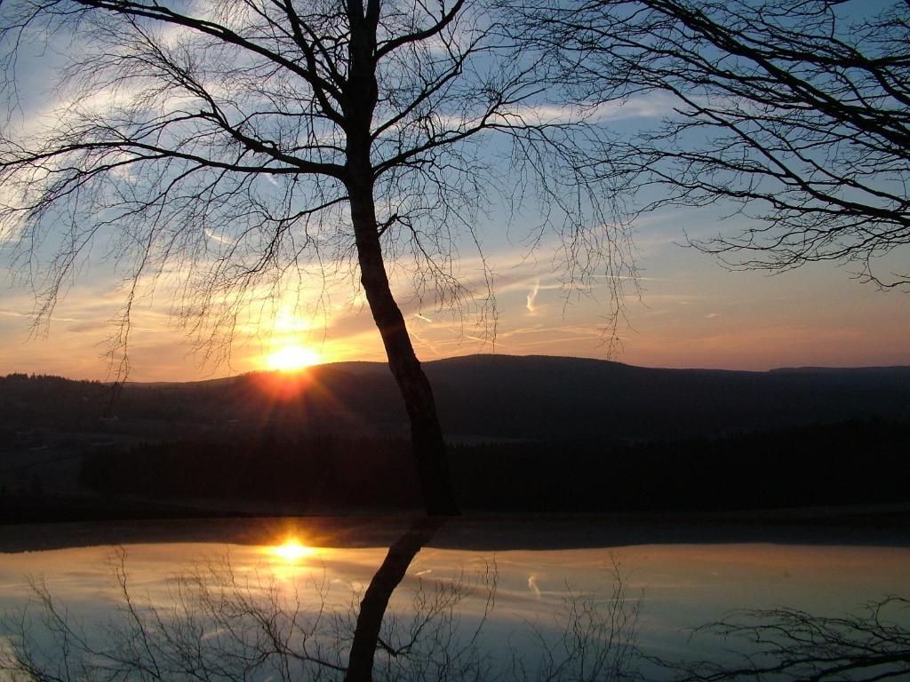 Orea Resort Devet Skal Vysocina Sněžné エクステリア 写真