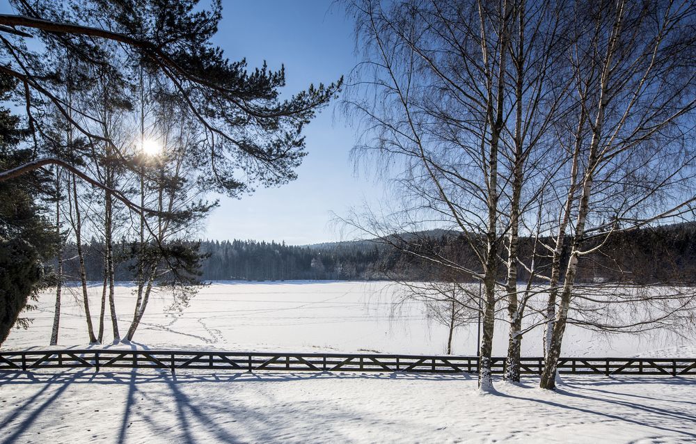 Orea Resort Devet Skal Vysocina Sněžné エクステリア 写真